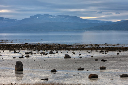 low-tide at  fjord, norway
