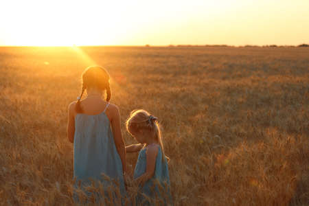 young girls joys on the wheat field  at the sunset timeの写真素材