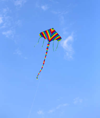 kite at the blue sky
の写真素材