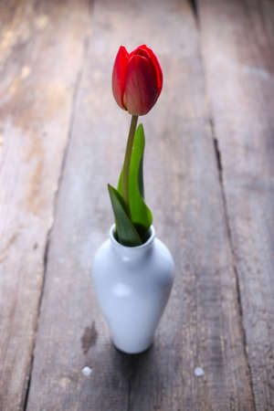 vintage wooden with tulips on 
の写真素材