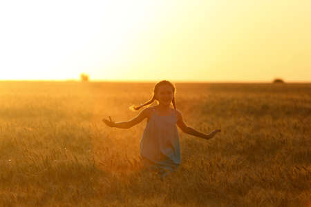 little girl running at the orange evening wheat fieldの写真素材