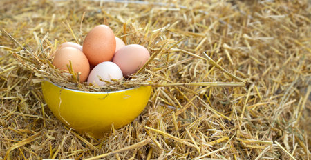 eggs at the straw