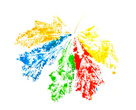 autumn maple  leaf paint printsの写真素材