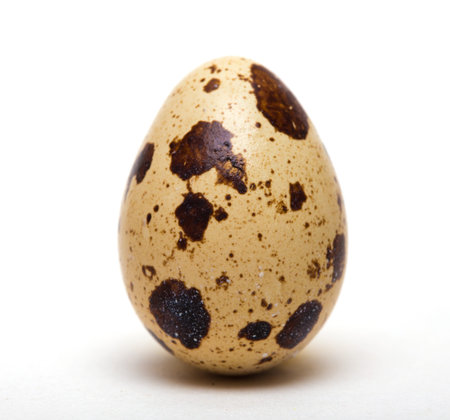 quail egg isolated on a whiteの写真素材