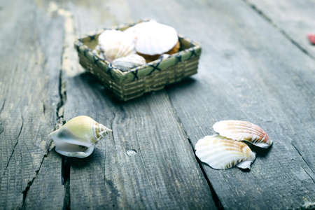 shells and starfish on a wooden tableの写真素材