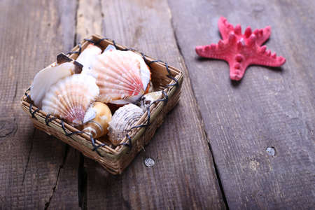 shells and starfish on a wooden tableの写真素材