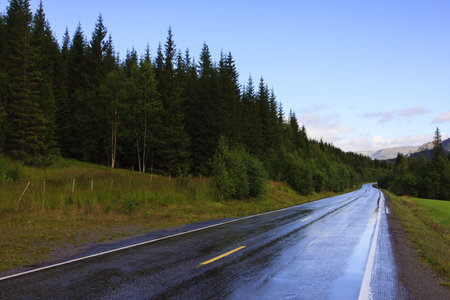 wet road after the rain
