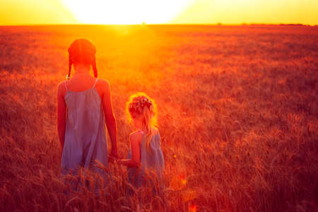 two children girls are looking at the sunset at the wheat fieldの写真素材