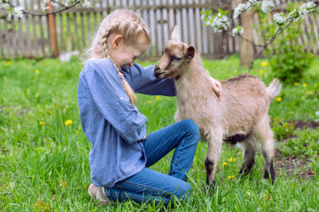 little girl with a goatling in the garden, springの写真素材