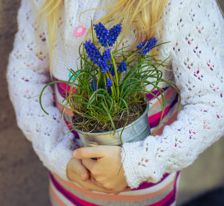 girl holding flowers hyacinths  in a pot