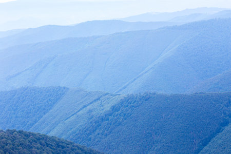 blue forest hills of the Carpatian mountains