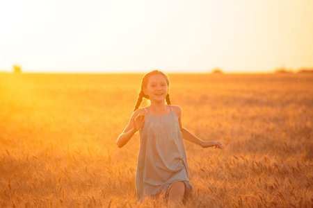 little girl running at the orange evening wheat fieldの写真素材