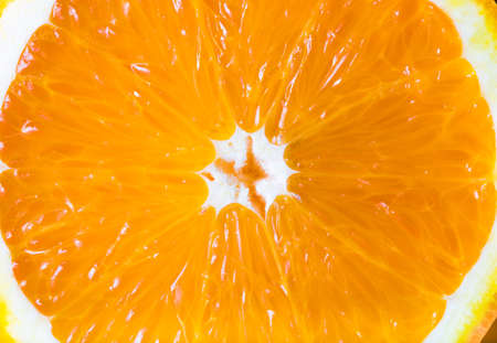 bright orange slice isolated on a white backgroundの写真素材