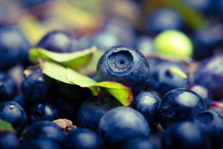 blueberry berries on a wooden table close upの写真素材