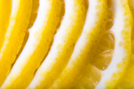 group of lemon slices close up backgroundの写真素材