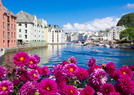 flowers growing at the streets of famous norwegian town Alesundの写真素材