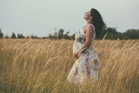 pregnancy - beautiful pregnant woman in the fieldの写真素材