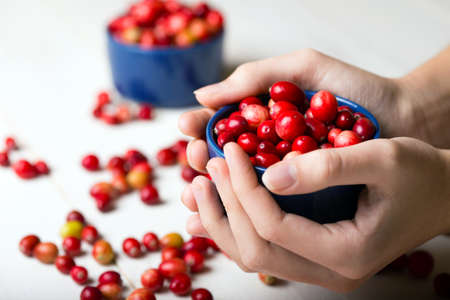 woman's hands holding a bowl of cranberriesの写真素材