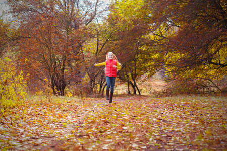 beautiful little girl in the autumn forestの写真素材