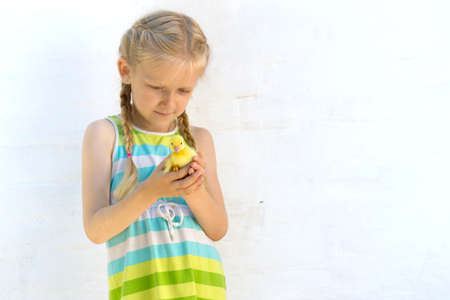 smiling little girl holding a little ducklingの写真素材