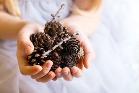 Christmas - children's hands girl holding a cones