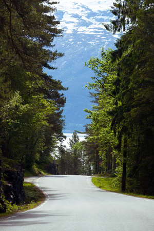 beautiful windy road at the norwegian mountains, norwayの写真素材