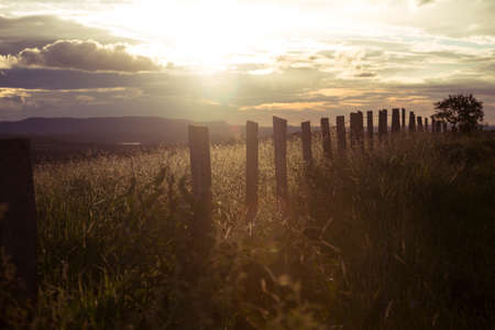 beautiful landscape at sunset in Brasilia, Brazilの写真素材