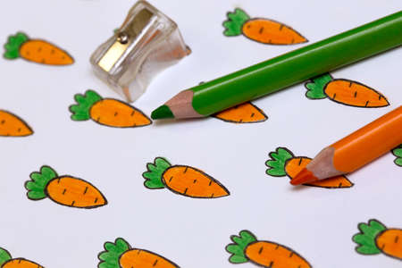 drawing with carrots on a white background pencil and sharpenerの写真素材
