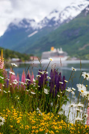 mountain landscape with cruise ship and pink lupine, norwayの写真素材