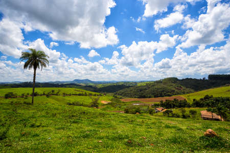 Jungle and blue sky - Brazilian tropical landscape, Brazilの写真素材