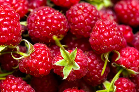 group of juicy raspberries close up shot