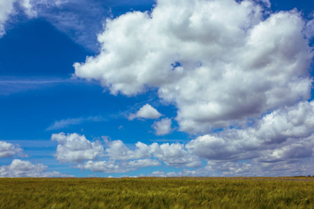 Ukrainian landscape. View on the  field and beautiful sky with clouds, Ukraine
