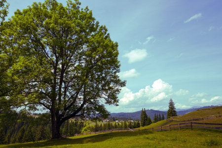 Vorokhta - Ukrainian landscape. view of the mountains in Carpathians,  Ukraine