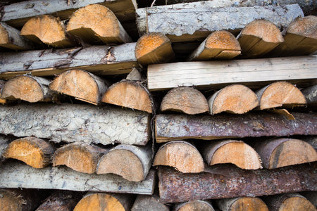 background made of lot of wooden logs