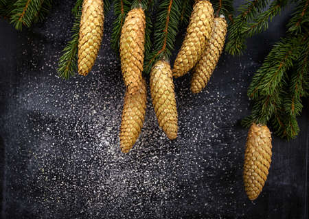 Chalkboard and branches of fir with cones on a background - christmasの写真素材