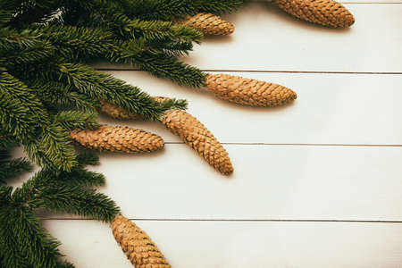 branches of fir with cones on a white background - christmasの写真素材