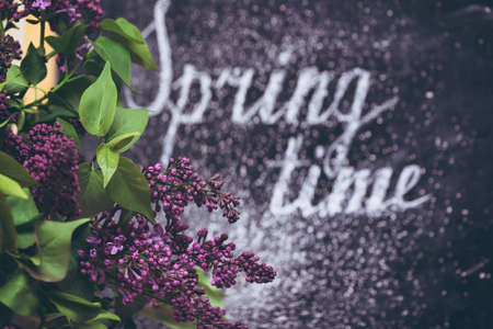 beautiful lilac background and inscription spring timeの写真素材