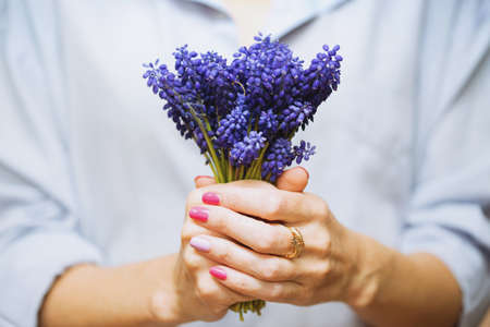 girl holding a hyacinth, close-upの写真素材