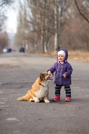 little girl with corgi dog walking outdoors at sunny spring dayの写真素材