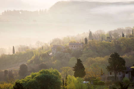 foggy morning at the Toscana with the rising sun beamsの写真素材