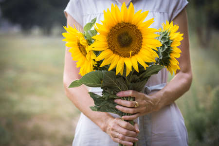Girl holding sunflowers in handsの写真素材
