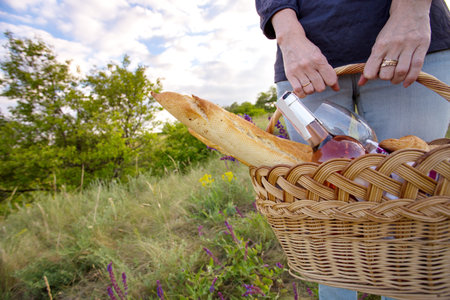 Summer - Girl with a basket goes on a picnicの写真素材