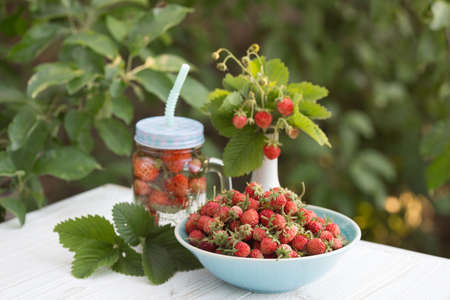 Strawberries  in bowl and cocktail in a glass on a wooden table in the garden at sunset lightの写真素材