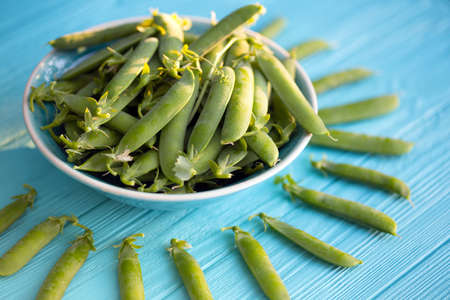 Green peas in pods on a wooden table  in the garden at sunset lightの写真素材