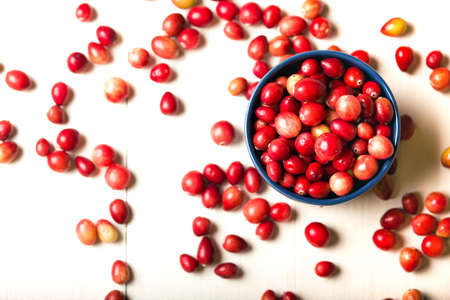 Bright red cranberries in a beautiful blue bowl on a wooden table, close-upの写真素材