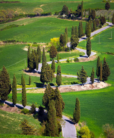 famous winding road at the Siena region.  italy, tuscanyの写真素材