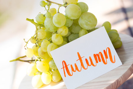 bunch of grapes - autumn still life with inscription autumn