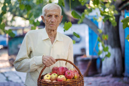 portrait of smiling senior man with a basket of applesの写真素材