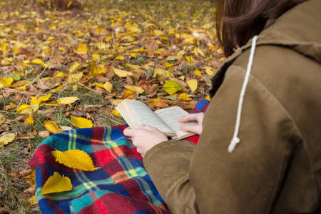 girl in the autumn park reads a bookの写真素材