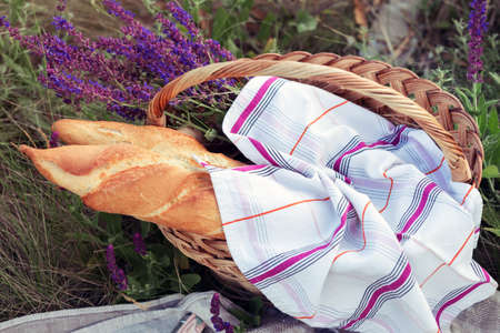Summer -  baguette and wine at the  basketの写真素材